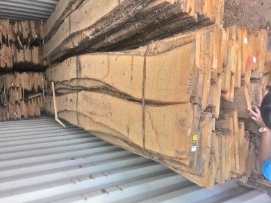 Bán gỗ sồi nguyên liệu với giá rẻ